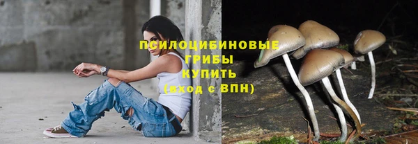 кокаин перу Богданович