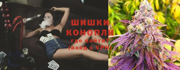 прущая мука Богородицк